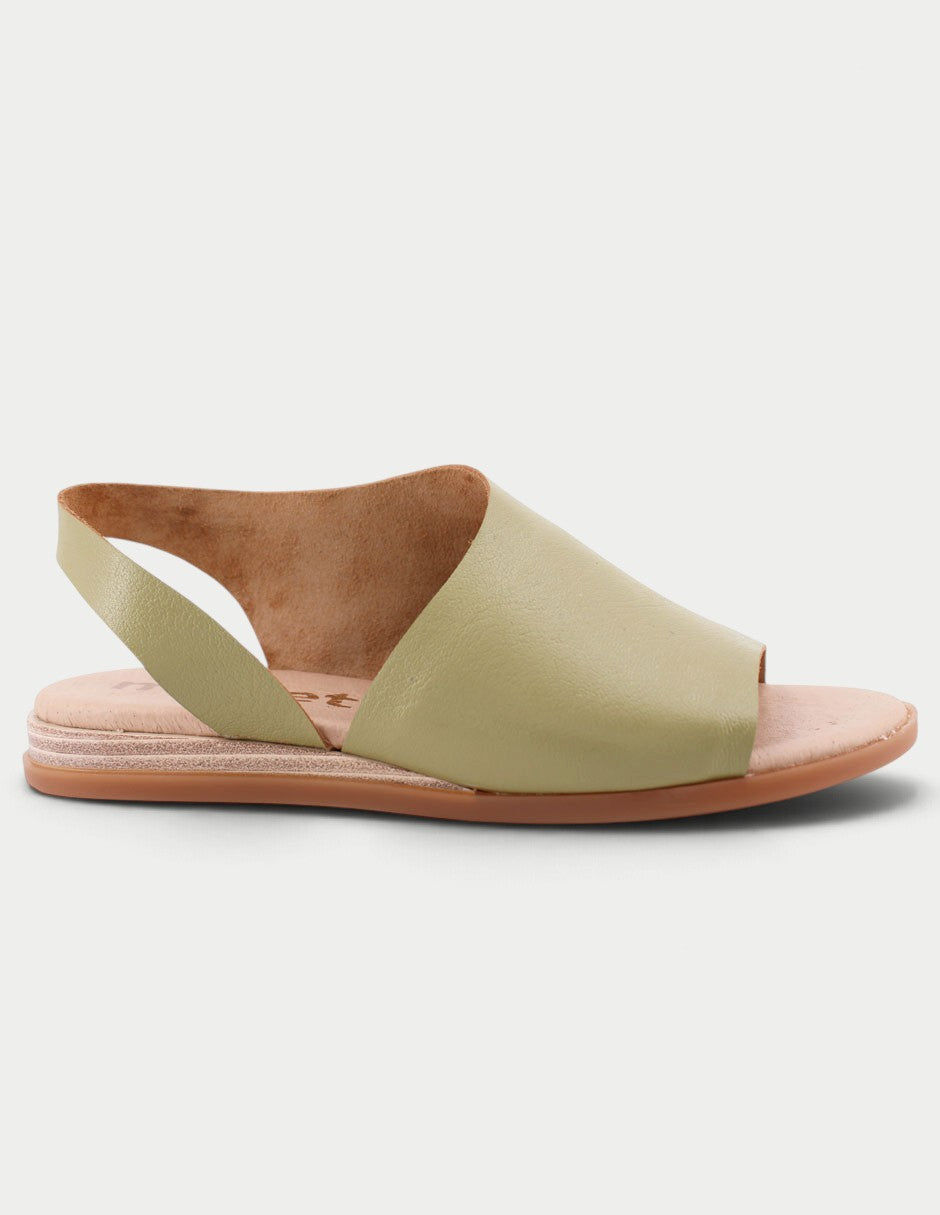 Dalia 02
