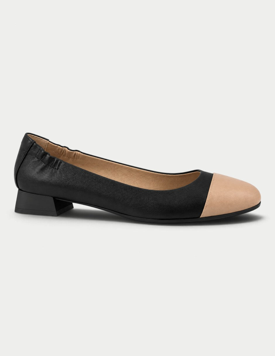Coral 01