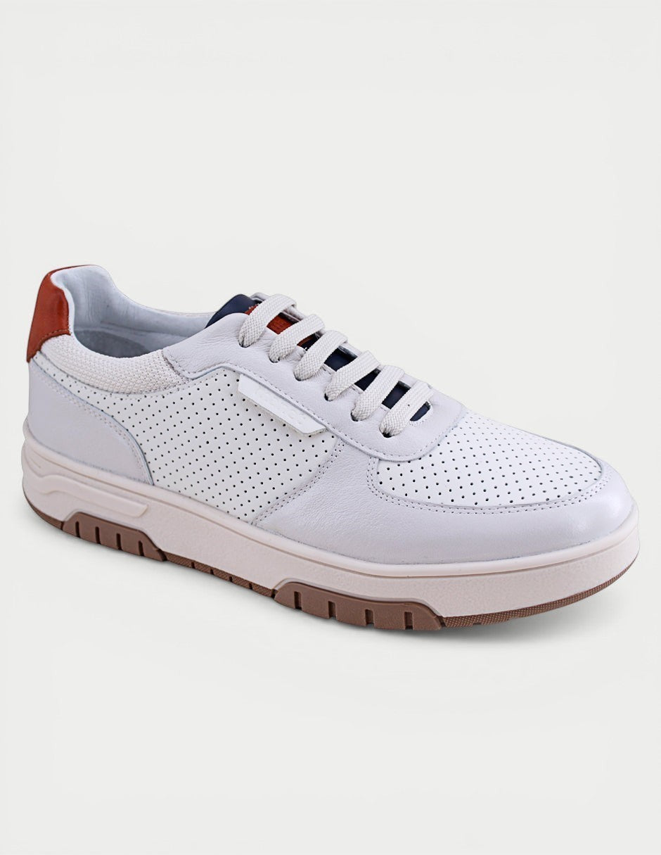 Manet white leather perforated sneakers with brown heel detail and rubber sole.